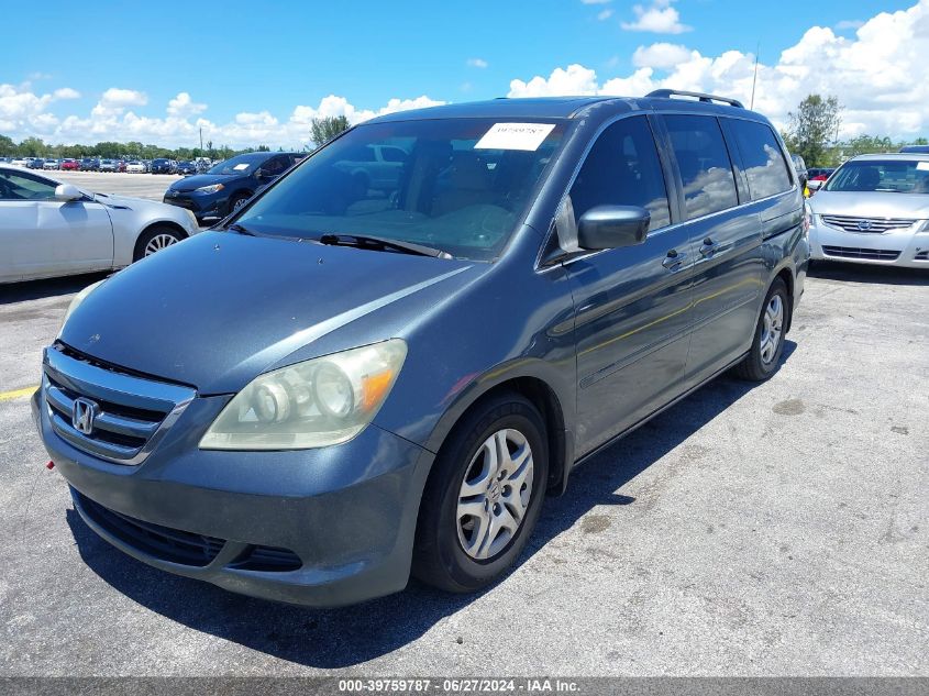 2006 Honda Odyssey Ex-L VIN: 5FNRL38766B016800 Lot: 39759787