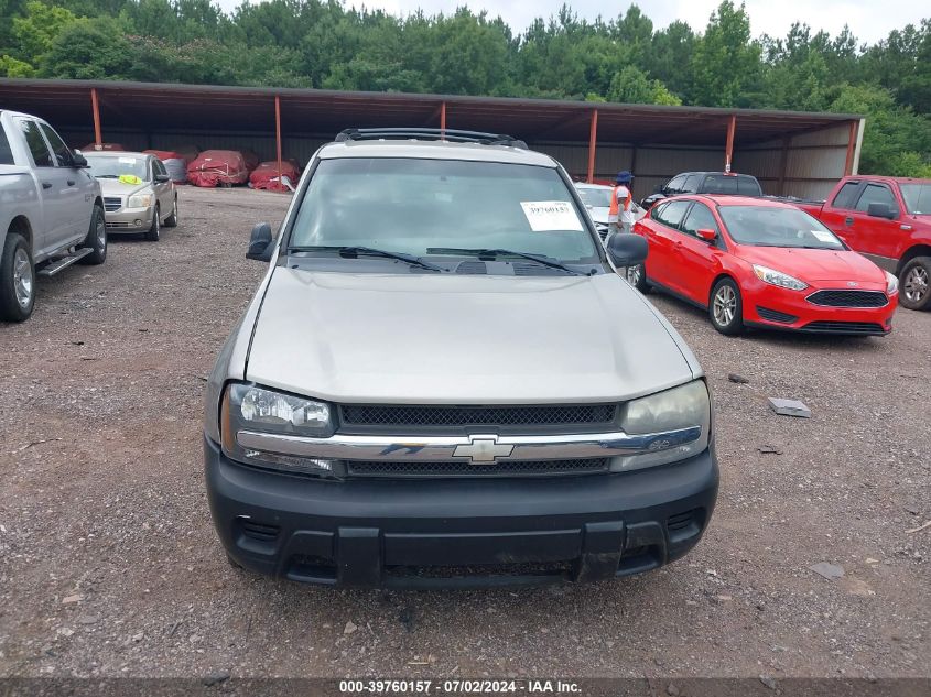 2003 Chevrolet Trailblazer VIN: 1GNDS13S232133499 Lot: 39760157