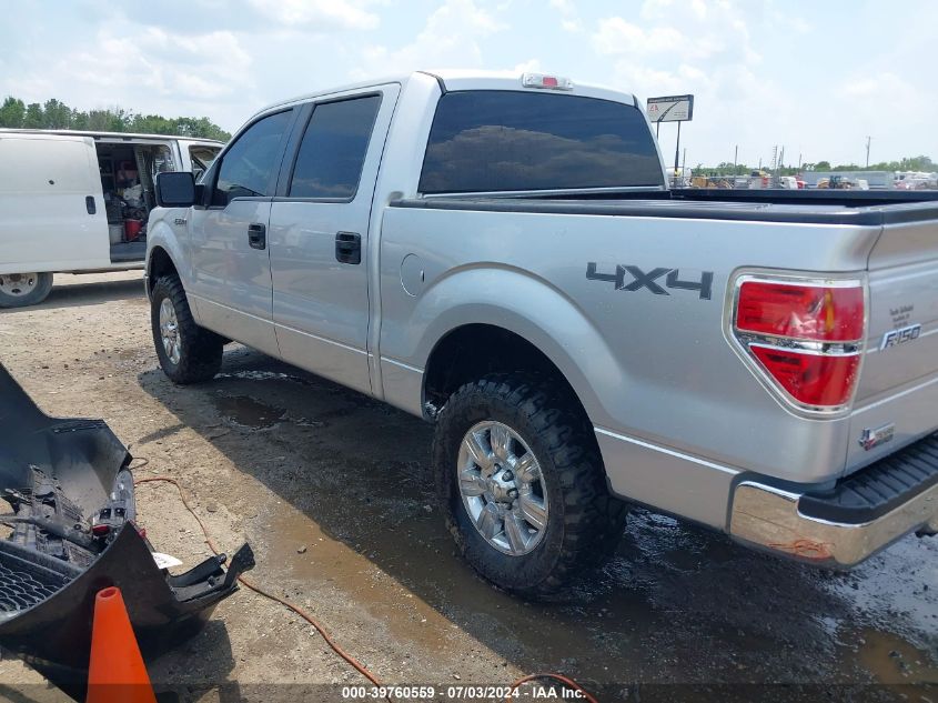 2013 FORD F-150 XLT - 1FTFW1EF8DFB52140