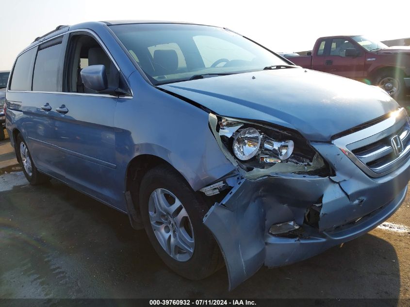 2006 Honda Odyssey Ex VIN: 5FNRL38496B065561 Lot: 39760932