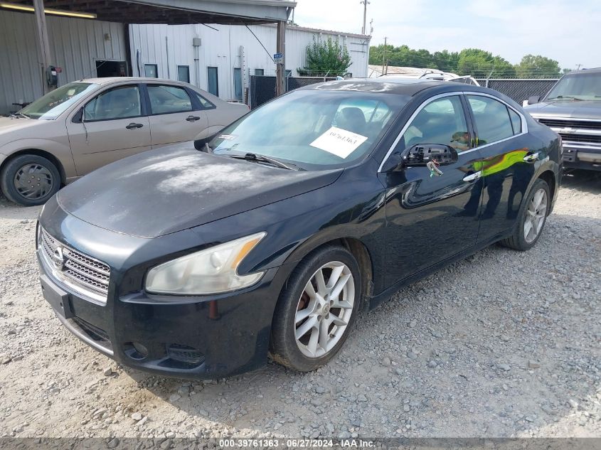 2009 Nissan Maxima 3.5 Sv VIN: 1N4AA51E59C826921 Lot: 39761363