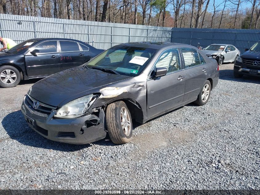 1HGCM56816A173705 | 2006 HONDA ACCORD