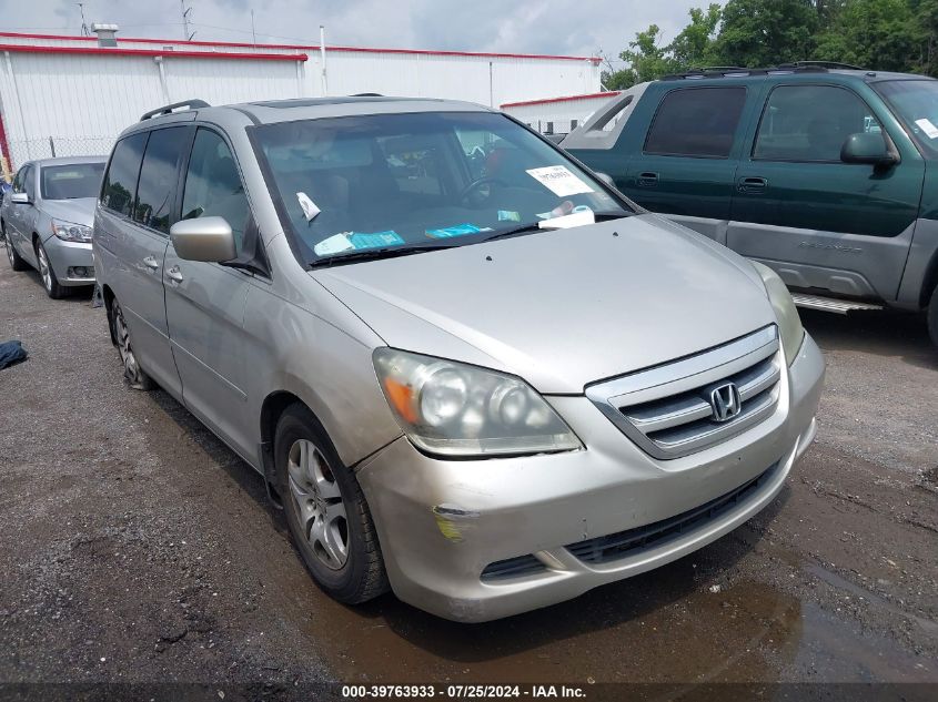 2007 Honda Odyssey Ex-L VIN: 5FNRL38767B400299 Lot: 39763933