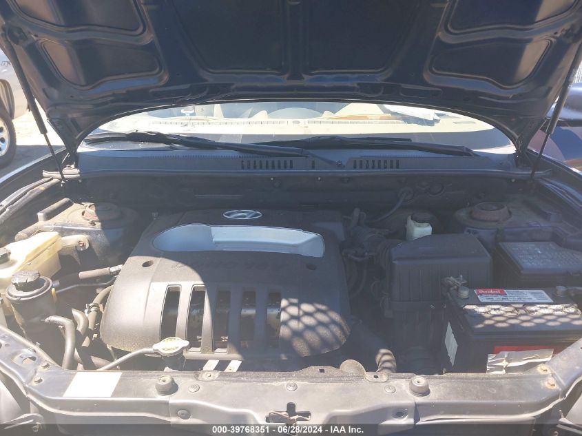 2004 Hyundai Santa Fe VIN: KM8SB12B74U775977 Lot: 39768351