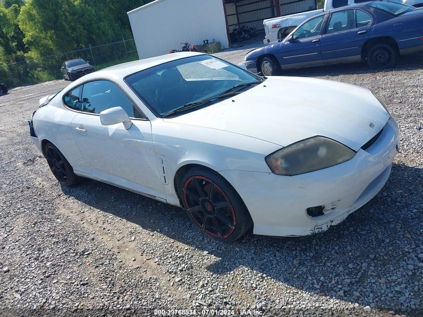 2005 Hyundai Tiburon Gt/Se VIN: KMHHN65F95U169000 Lot: 39768534