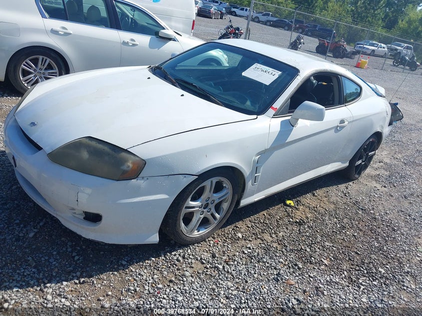 2005 Hyundai Tiburon Gt/Se VIN: KMHHN65F95U169000 Lot: 39768534