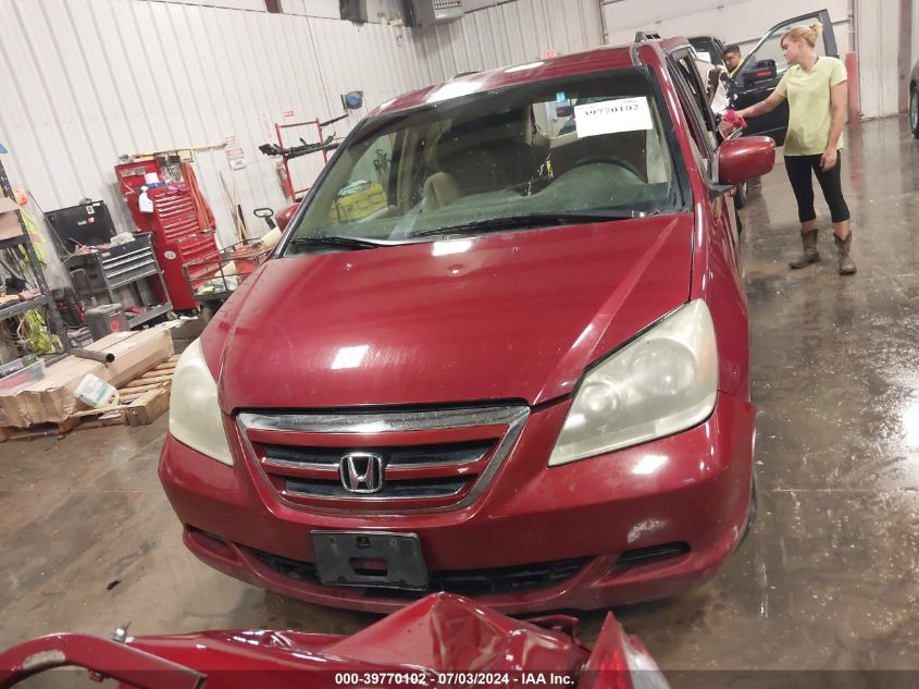 2006 Honda Odyssey Ex VIN: 5FNRL38426B058452 Lot: 39770102