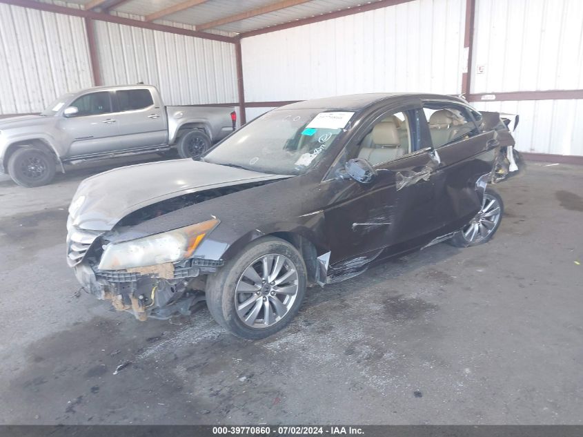 2011 Honda Accord 2.4 Ex-L VIN: 1HGCP2F84BA145767 Lot: 39770860