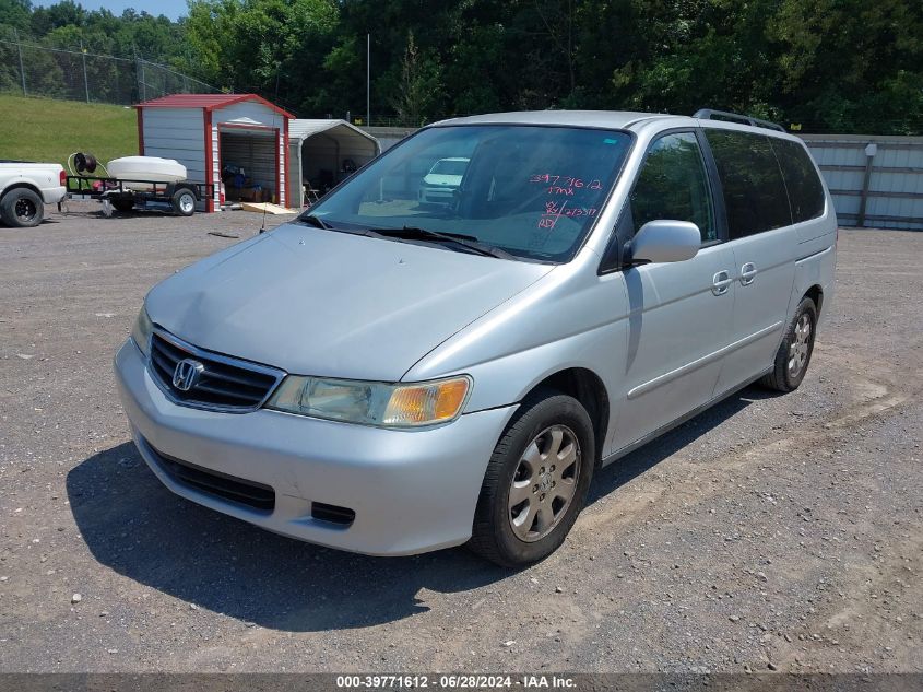 2004 Honda Odyssey Ex-L VIN: 5FNRL18764B107938 Lot: 39771612