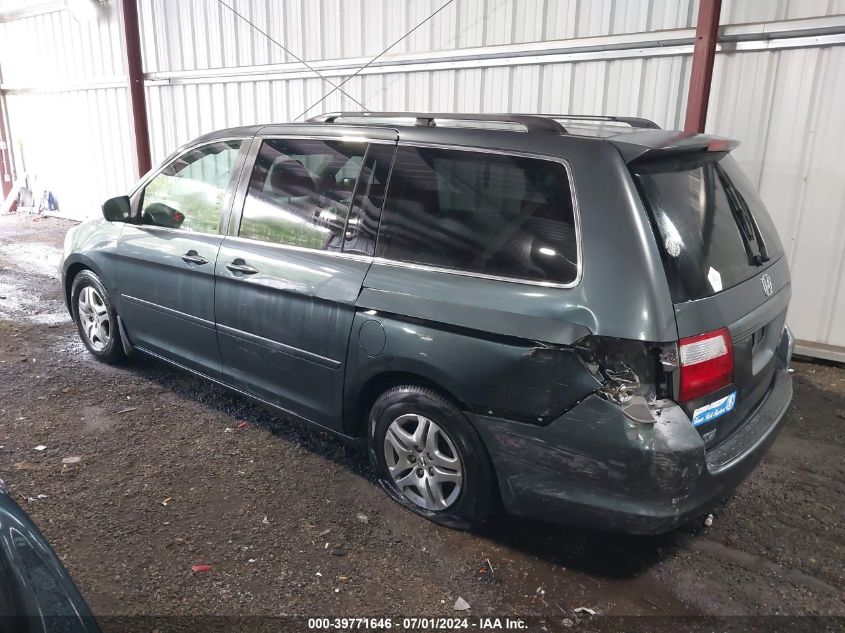 2005 Honda Odyssey Ex VIN: 5FNRL38475B030242 Lot: 39771646