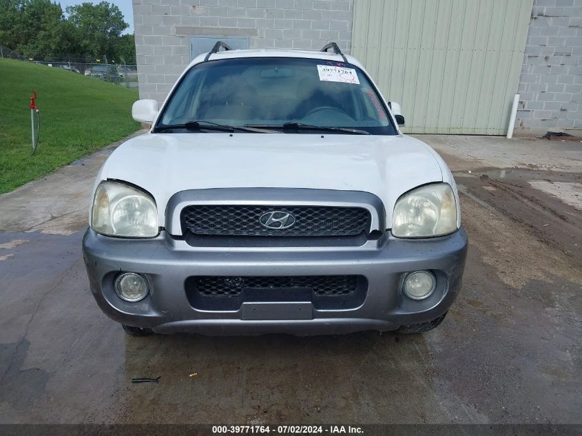2003 Hyundai Santa Fe Gls/Lx VIN: KM8SC13D93U433703 Lot: 39771764