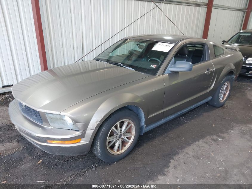 1ZVFT80N555140077 | 2005 FORD MUSTANG