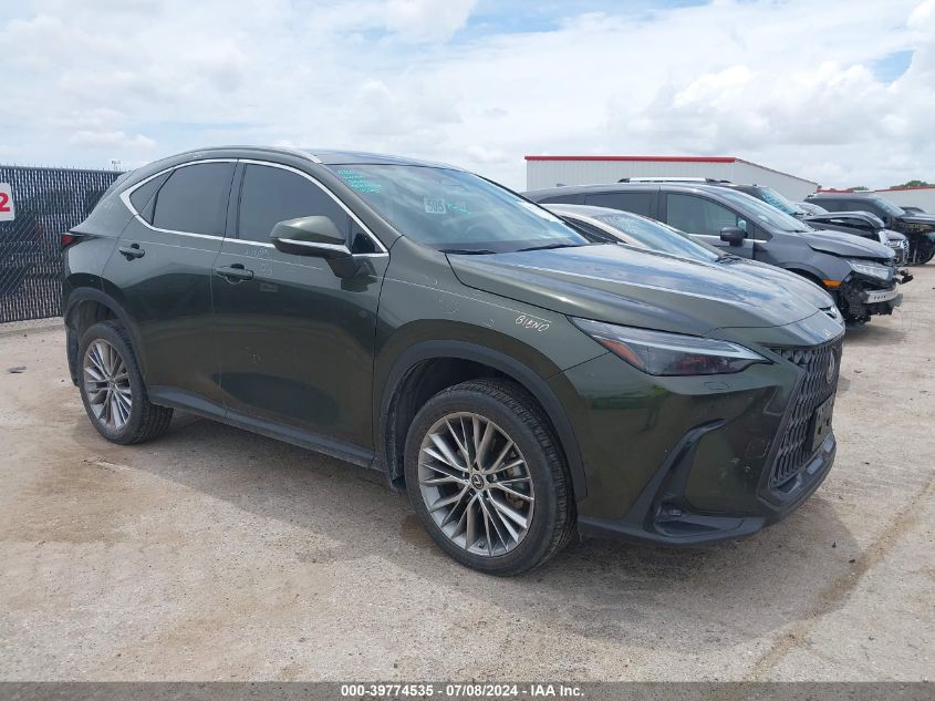 2023 LEXUS NX 350 LUXURY - 2T2HGCEZ9PC028978