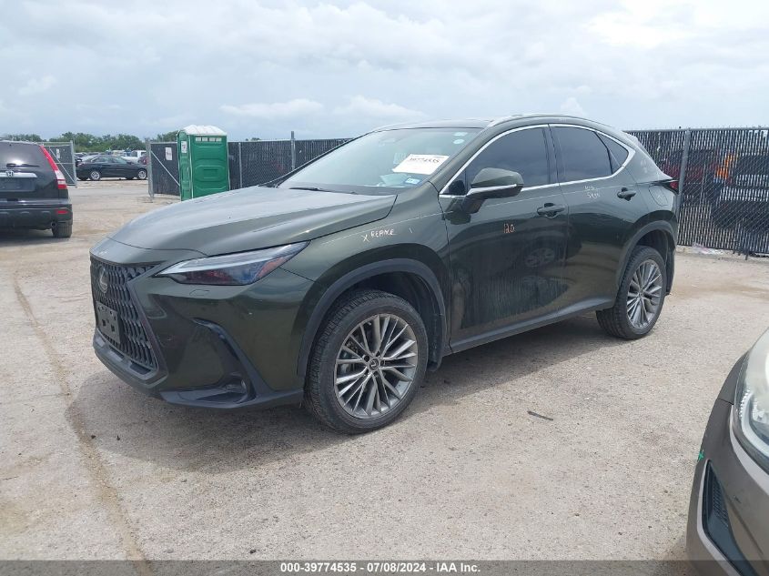 2T2HGCEZ9PC028978 2023 LEXUS NX - Image 2