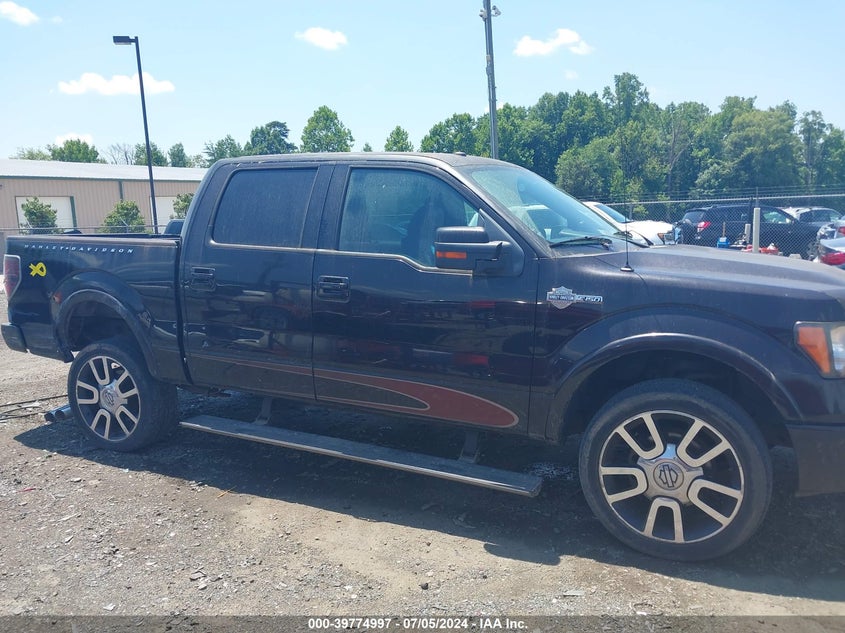 2010 Ford F-150 Fx4/Harley-Davidson/King Ranch/Lariat/Platinum/Xl/Xlt VIN: 1FTFW1EV4AFB15329 Lot: 39774997