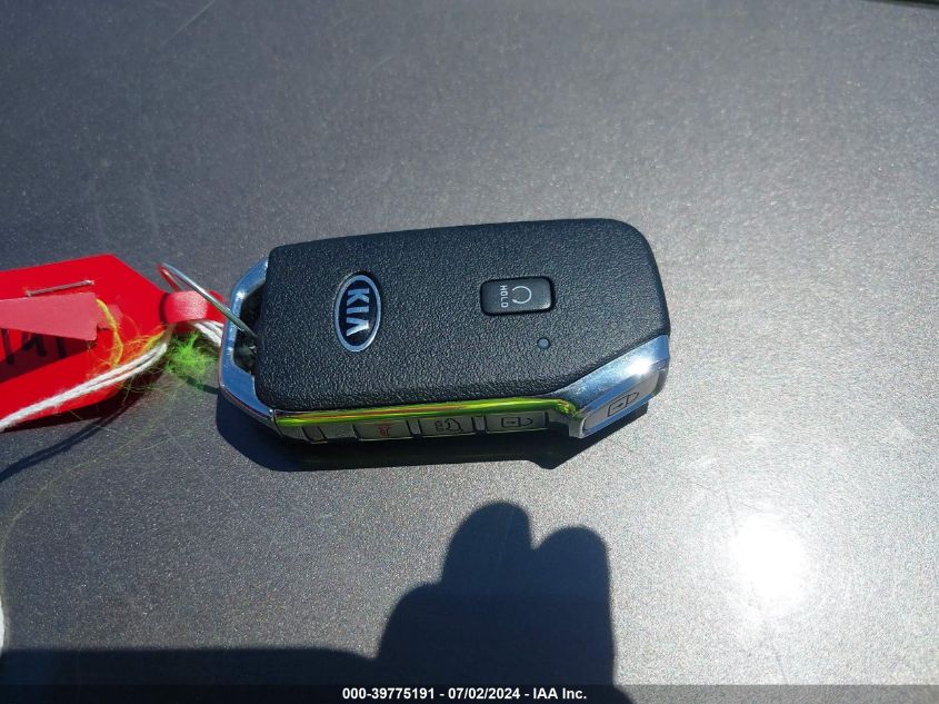 2021 Kia Telluride Ex VIN: 5XYP3DHC7MG166432 Lot: 39775191