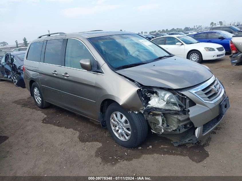 2008 Honda Odyssey Ex-L VIN: 5FNRL38618B090250 Lot: 39775348