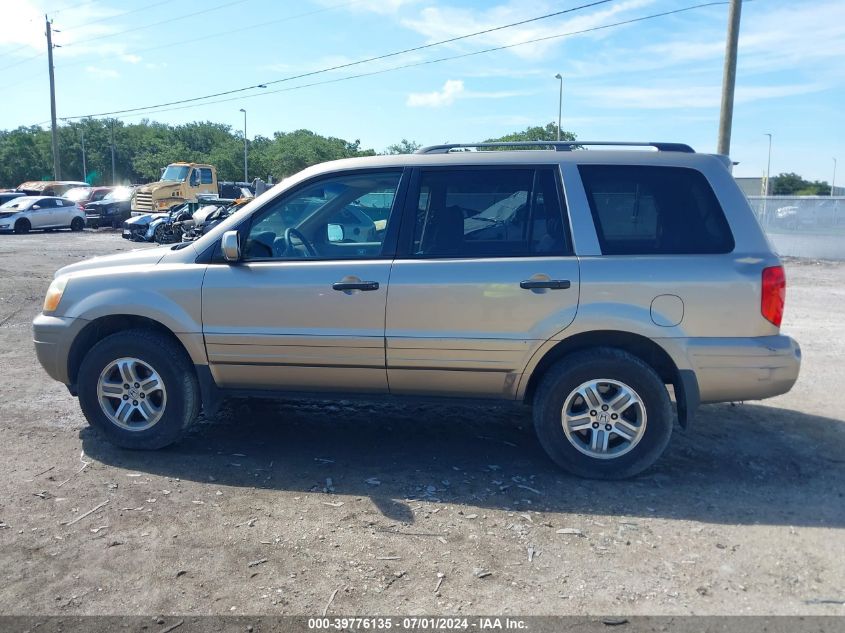 2005 Honda Pilot Ex-L VIN: 5FNYF18575B029365 Lot: 39776135