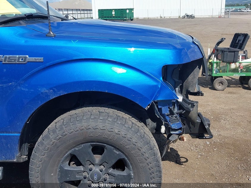 2011 Ford F-150 Stx VIN: 1FTEX1EMXBFB26000 Lot: 39781056