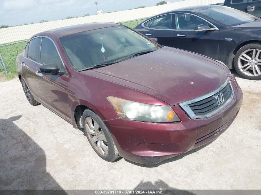 2010 Honda Accord 2.4 Ex VIN: 1HGCP2F77AA003077 Lot: 39781718