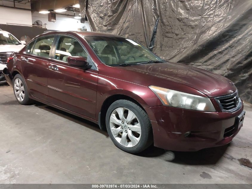 2010 Honda Accord 3.5 Ex-L VIN: 5KBCP3F82AB006958 Lot: 39783974