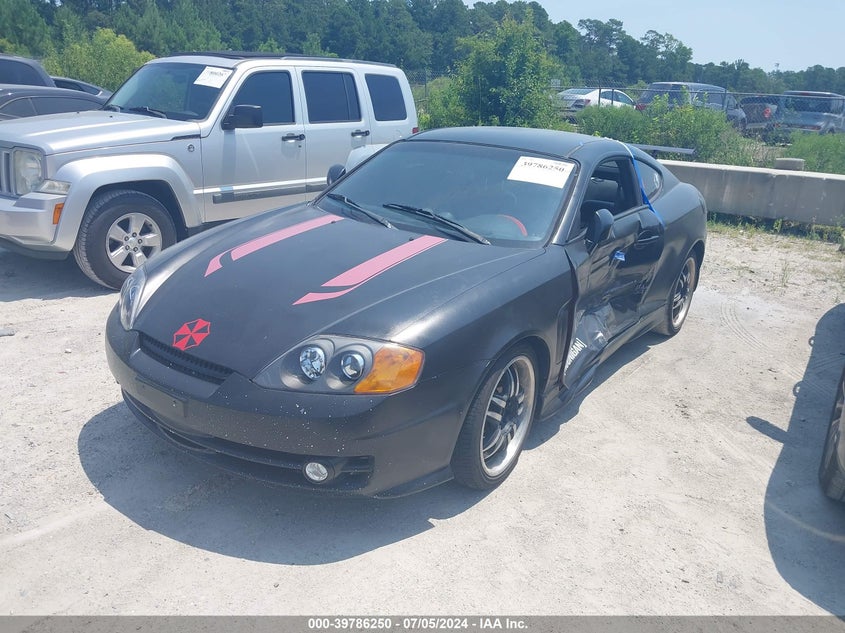 2003 Hyundai Tiburon Gt V6 VIN: KMHHN65F53U070509 Lot: 39786250