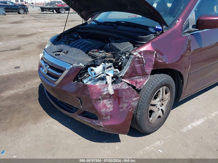 2007 Honda Odyssey Ex-L VIN: 5FNRL38767B442259 Lot: 39787554