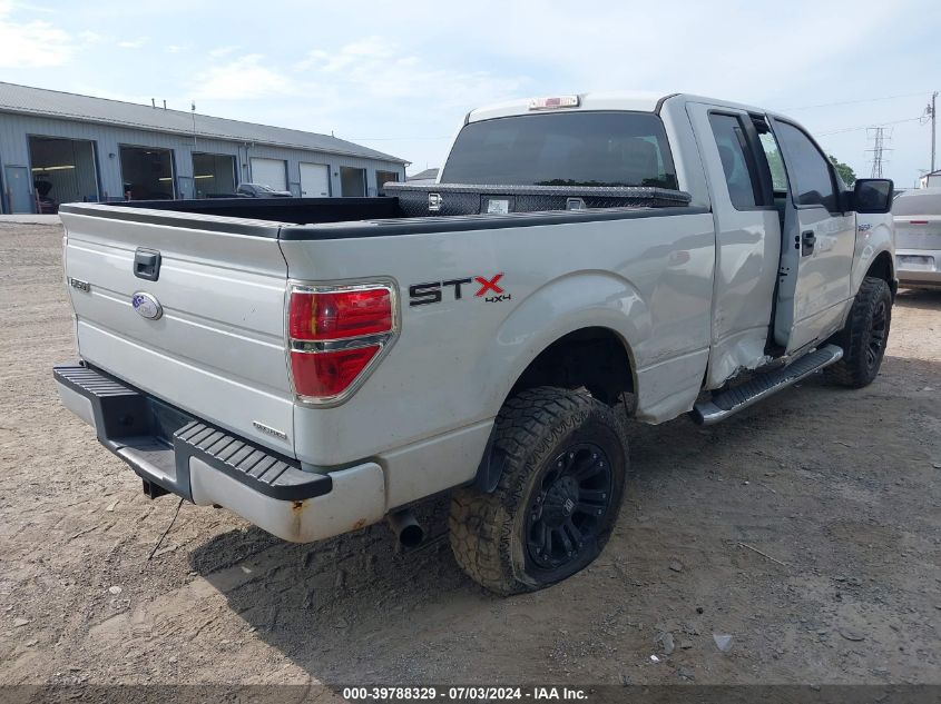 2013 Ford F-150 Stx VIN: 1FTFX1EF1DFA23976 Lot: 39788329