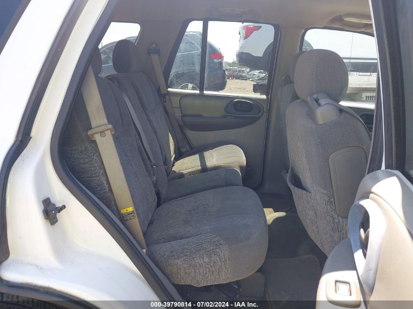 2003 Chevrolet Trailblazer Ls VIN: 1GNDT13S632237135 Lot: 39790814