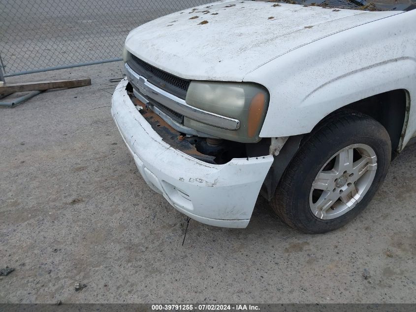 2004 Chevrolet Trailblazer Ls VIN: 1GNDT13S842267481 Lot: 39791255