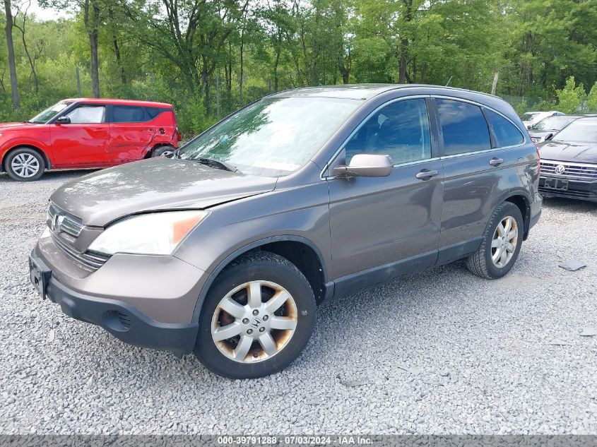 2009 Honda Cr-V Ex-L VIN: 5J6RE48709L026685 Lot: 39791288