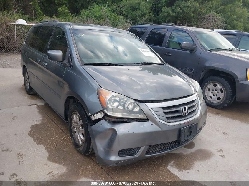 2009 Honda Odyssey Ex VIN: 5FNRL38429B038464 Lot: 39791666