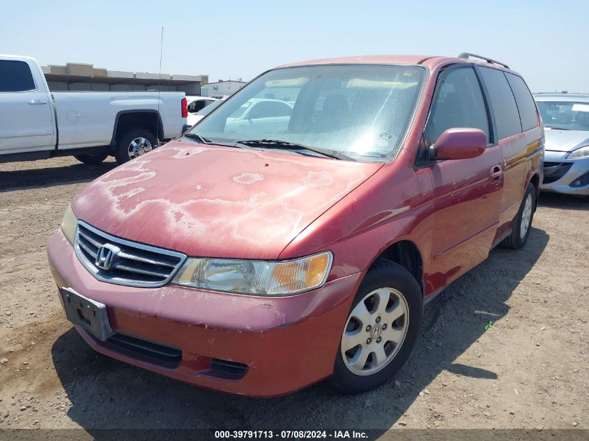 2002 Honda Odyssey Ex VIN: 5FNRL18662B017631 Lot: 39791713