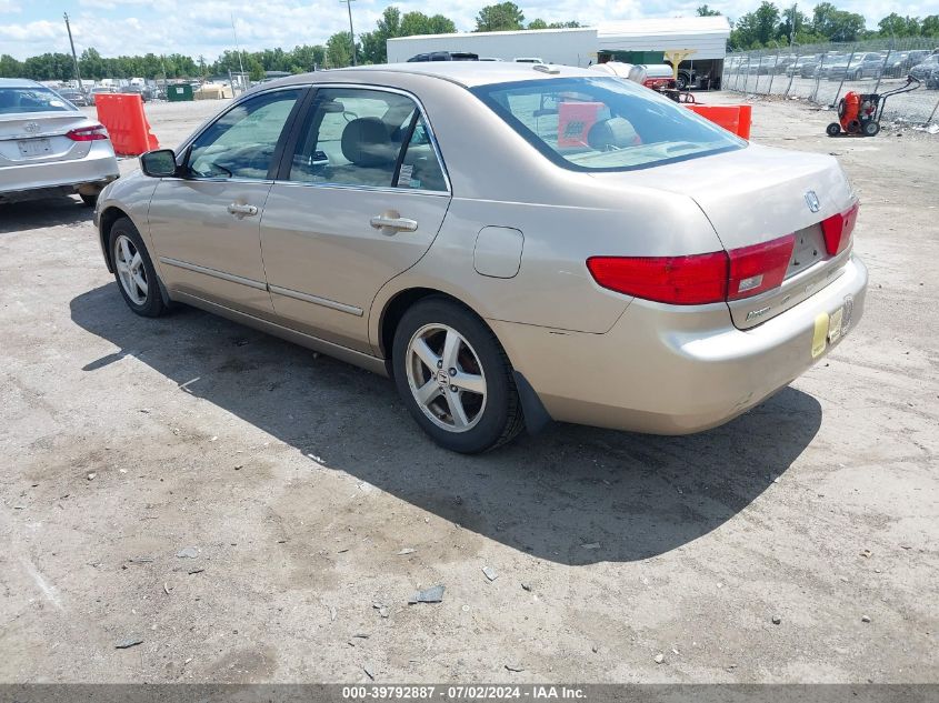 1HGCM56845A017351 | 2005 HONDA ACCORD