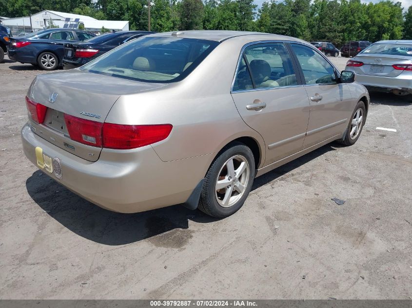 1HGCM56845A017351 | 2005 HONDA ACCORD