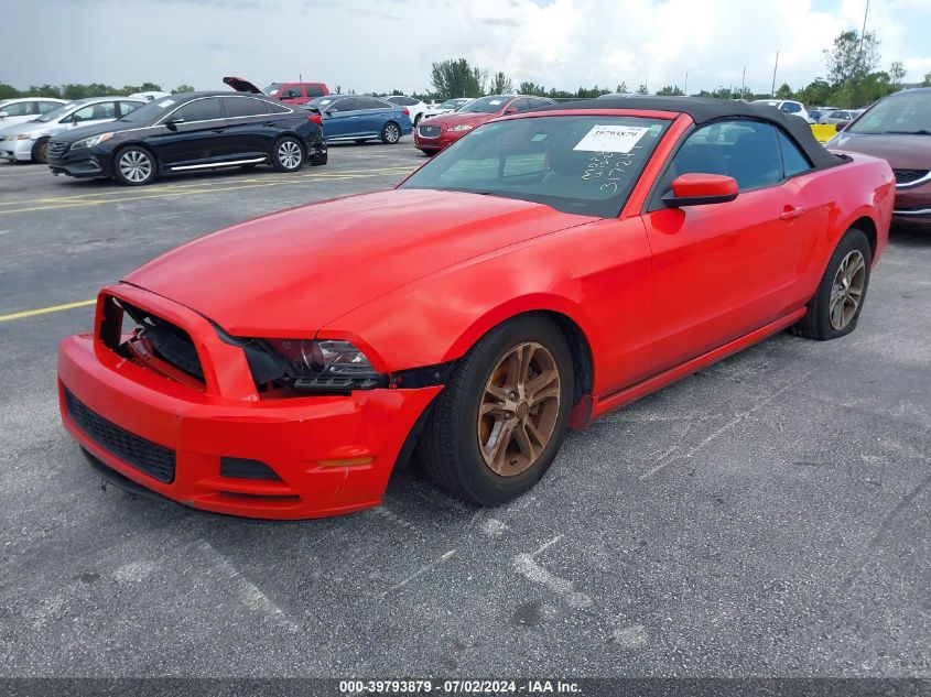 1ZVBP8EM3E5275724 | 2014 FORD MUSTANG