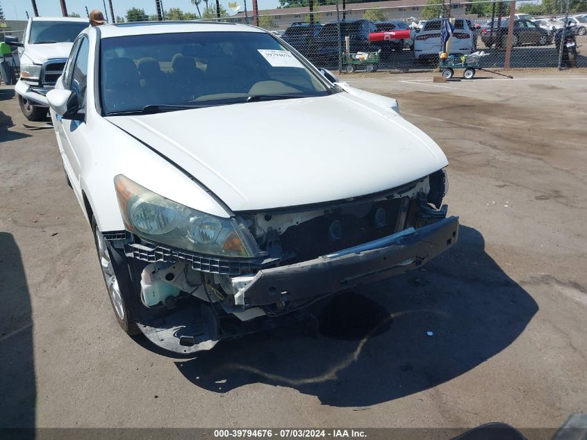 2010 Honda Accord Exl VIN: 1HGCP3F85AA029899 Lot: 39794676