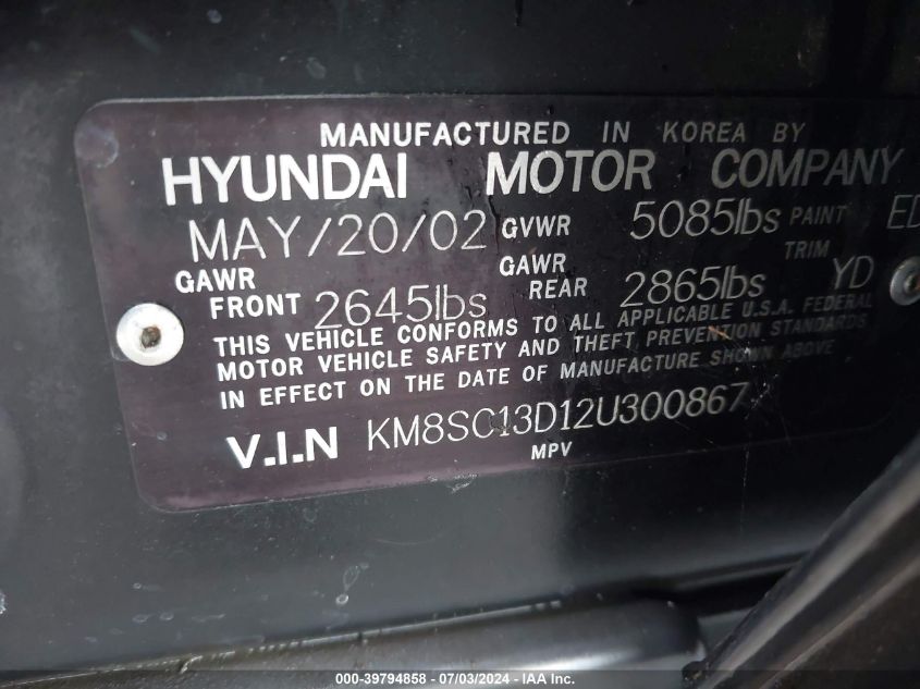 2002 Hyundai Santa Fe Gls/Lx VIN: KM8SC13D12U300867 Lot: 39794858