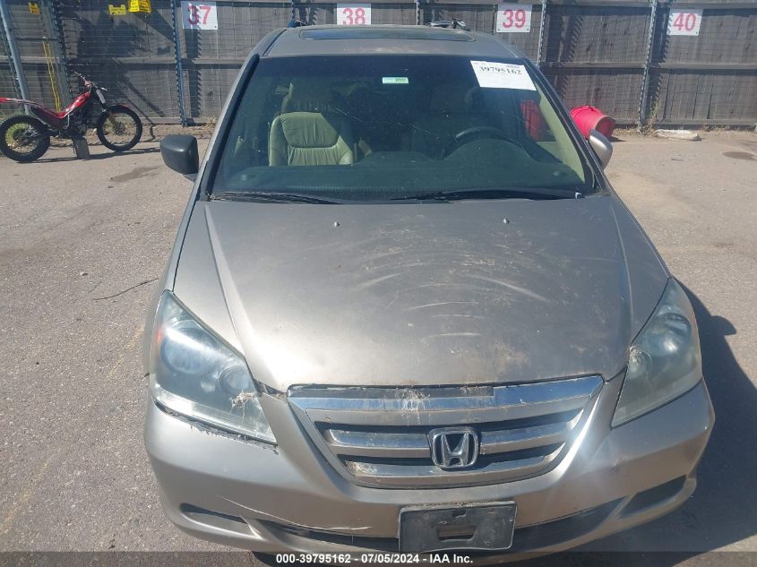 2005 Honda Odyssey Ex-L VIN: 5FNRL38655B405952 Lot: 39795162