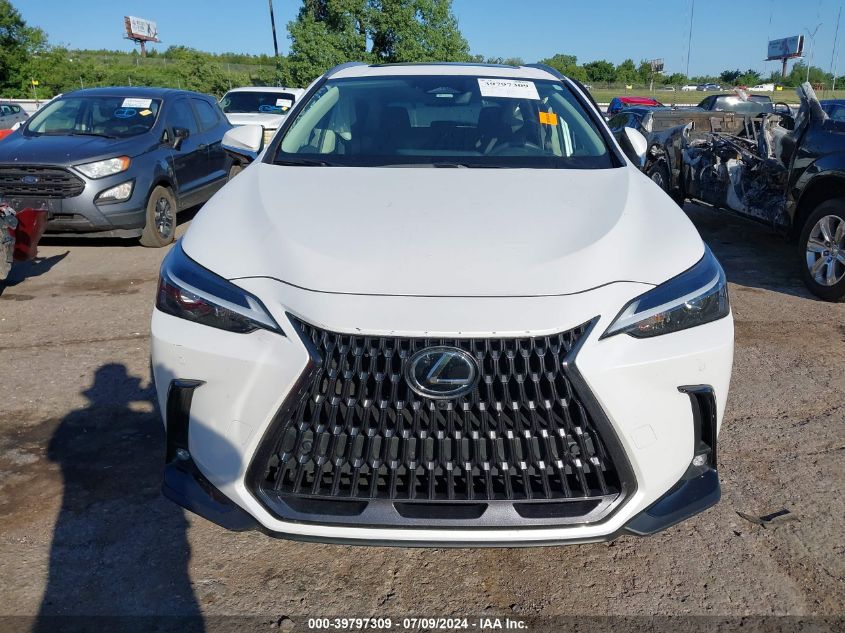 2023 Lexus Nx 350 Premium VIN: 2T2GGCEZ3PC028065 Lot: 39797309