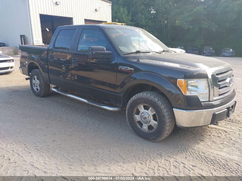 1FTEW1E81AKE81889 | 2010 FORD F-150