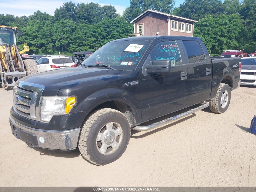 1FTEW1E81AKE81889 | 2010 FORD F-150