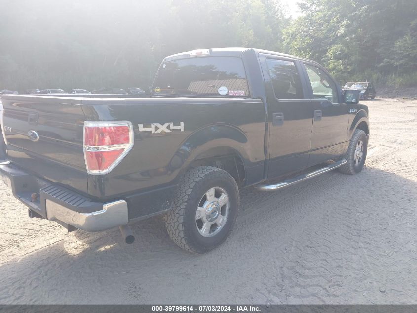 1FTEW1E81AKE81889 | 2010 FORD F-150