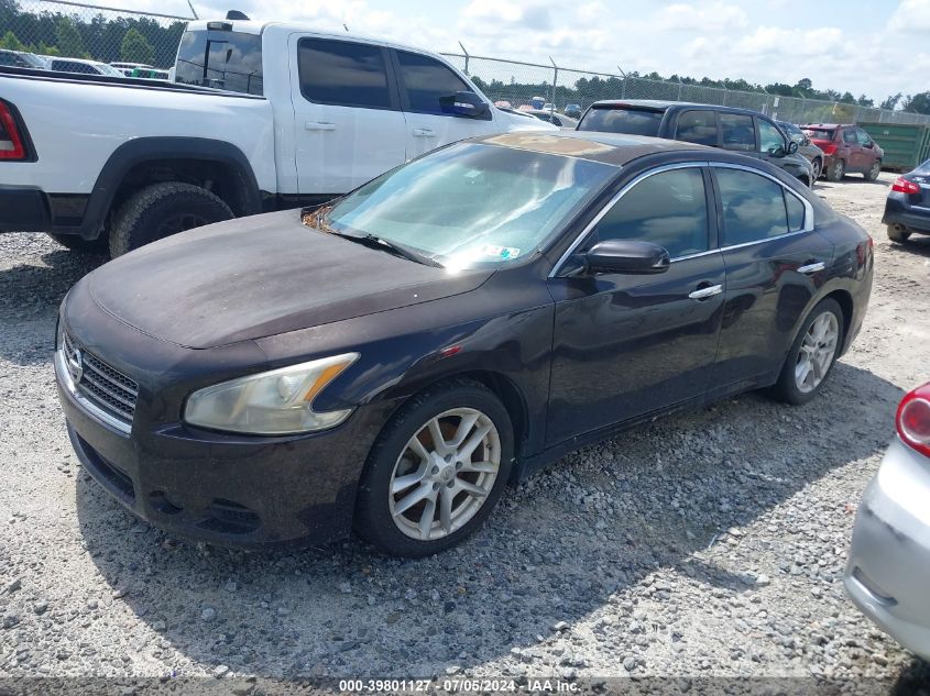 2010 Nissan Maxima 3.5 S VIN: 1N4AA5AP6AC818283 Lot: 39801127