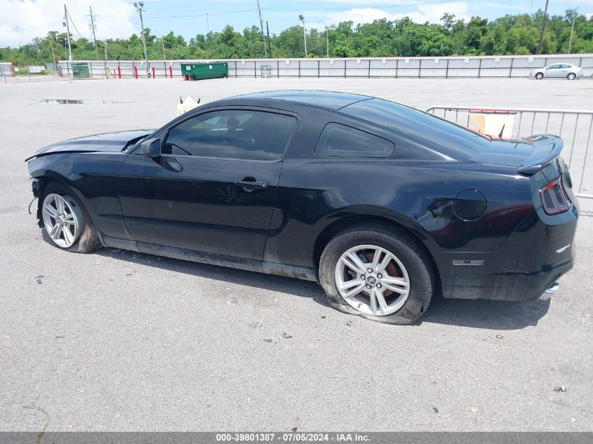 2014 FORD MUSTANG - 1ZVBP8AM3E5217165