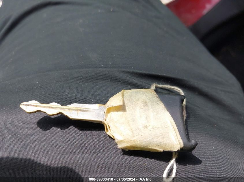 2009 Ford Mustang Gt/Gt Premium VIN: 1ZVHT82H995131212 Lot: 39803410