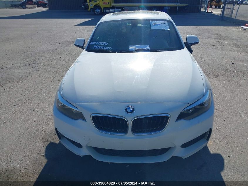 2016 BMW 228I VIN: WBA1F5C53GV343757 Lot: 39804829