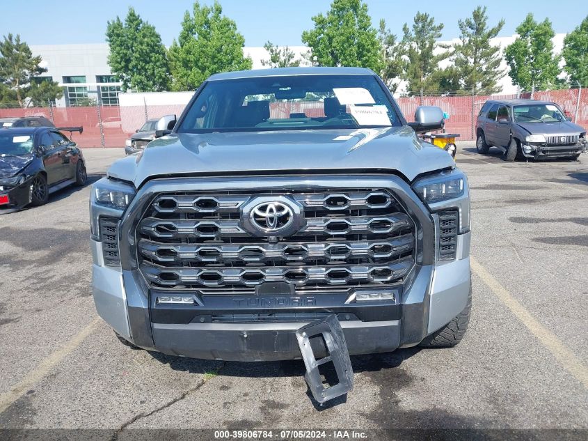 2022 Toyota Tundra Platinum VIN: 5TFNA5AB3NX007376 Lot: 39806784