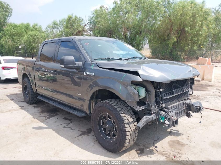 1FTEW1CP3FKD10479 2015 FORD F-150 - Image 1