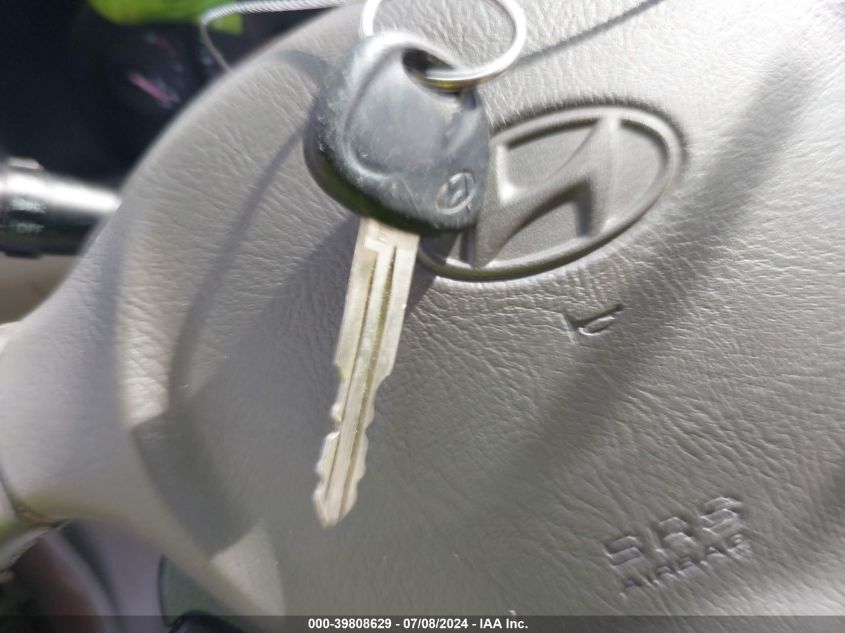 2003 Hyundai Santa Fe Gls/Lx VIN: KM8SC13D13U536162 Lot: 39808629